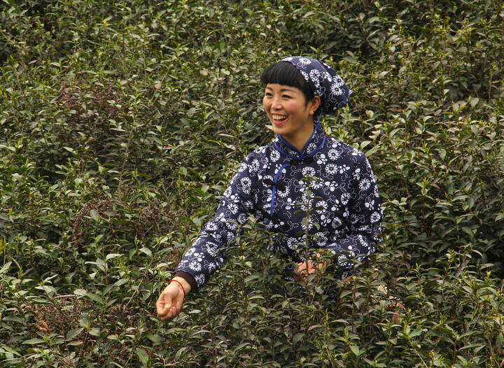 都市牡丹 真人秀